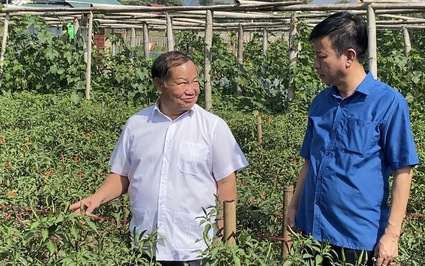 Phó Chủ tịch Hội NDVN Đinh Khắc Đính và đoàn công tác tìm hiểu vùng trồng mít ở Lai Châu