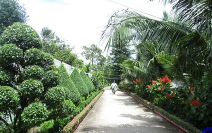 Đường hoa, đường cây xanh ở một huyện của Tiền Giang đẹp như phim, ai qua cũng muốn chụp hình