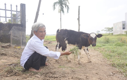 Một nông dân Quảng Nam bị liệt hai chân vươn lên thoát nghèo, làm giàu với mô hình VAC