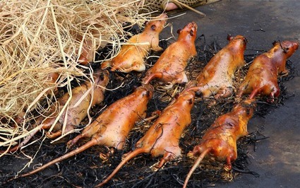 10 đặc sản “kỳ quặc” ở Việt Nam trong mắt người nước ngoài: Số 9 và số 10 là "bá đạo" nhất