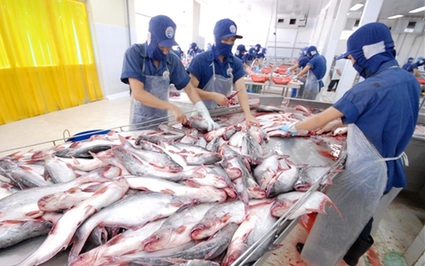 Cá hồi Na Uy giá thành 10USD, sang Việt Nam bán giá gấp 3 lần: Vấn đề đáng suy nghĩ cho thủy sản Việt