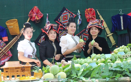 Rộn ràng ngày hội xoài Yên Châu