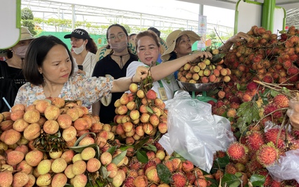 Sầu riêng, măng cụt, vải thiều giá siêu rẻ tại Lễ hội Trái cây Nam Bộ, khách mua cả chục kg ôm không nổi
