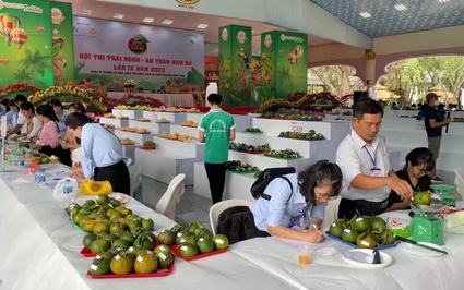 Thi Trái ngon - An toàn Nam Bộ: Nhiều nông dân thi hoài vẫn không được giải cao, vì sao năm nào cũng đi?