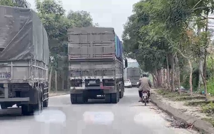 Video: Hàng trăm xe quá khổ, quá tải ngang nhiên đi lại trên tỉnh lộ ở Lào Cai