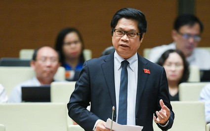 Đại biểu Quốc hội chia sẻ điều "day dứt" khi làm việc với doanh nghiệp nước ngoài