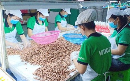 Giá một loại hạt của Việt Nam bán sang Trung Quốc cao gấp 4,8 lần sản phẩm cùng loại của Campuchia