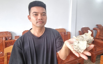 Bỏ nghề cắt tóc, 8X Ninh Bình về quê nuôi loài "chim tiền tỷ" thu nhập gần 40 triệu/tháng