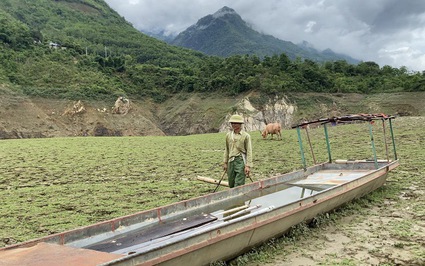 Nắng nóng, khô hạn kéo dài, nhiều đoạn trên sông Nậm Na, sông Đà cạn trơ đáy, nông dân vất vả
