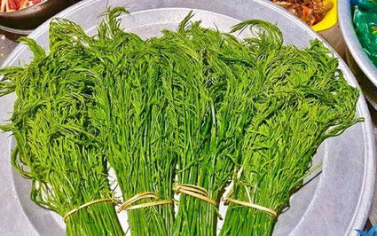 Ở nơi này của Sơn La có một loại rau rừng nấu lên cả xóm ngửi mùi khó ưa, ăn lại ngon hơn cá thịt
