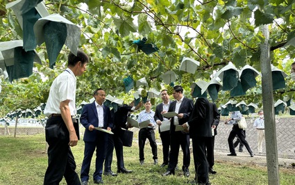 Thúc đẩy hợp tác giữa Hội Nông dân Việt Nam và tỉnh Yamanashi của Nhật Bản