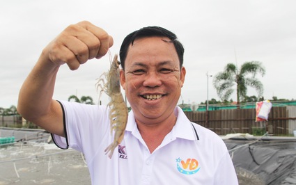 Nuôi tôm công nghệ cao lãi tiền tỷ, "vua tôm" Trà Vinh được bình chọn là Nông dân Việt Nam xuất sắc 