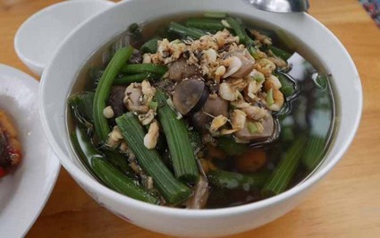 Cây này nghe tên đã thấy “đau”, xưa là cỏ dại mọc um tùm chẳng ai ăn nay bán 130.000đ/kg, vừa ăn vừa làm thuốc