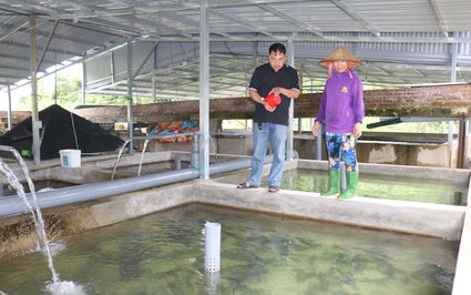 Tỷ phú nuôi thứ cá nước lạnh ở Lào Cai trở thành Nông dân Việt Nam xuất sắc 2023