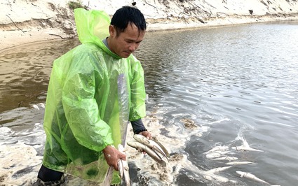 Nông dân kiến nghị về điện gió, dông sét gây chết cá, Bí thư Tỉnh ủy Quảng Bình: Sẽ tìm hiểu, hỗ trợ nông dân