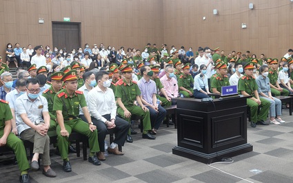 Giai đoạn 2 vụ chuyến bay giải cứu: Đề nghị truy tố một cựu cán bộ Công an vì che giấu tội phạm