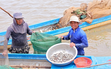 Đầu nguồn sông Tiền ở Đồng Tháp, nước đỏ như son, dân bắt được loài cá tên nghe quen, nhìn thì lạ