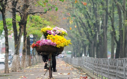 Cảnh sắc mùa thu Hà Nội đầu tháng 10, nắng vàng trải dài trên khắp các con phố