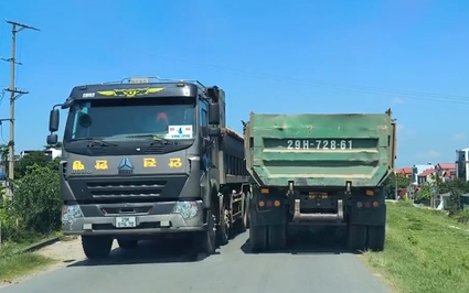 Hàng loạt xe tải trọng lớn chở cát lộng hành trên tuyến đê tả sông Hồng