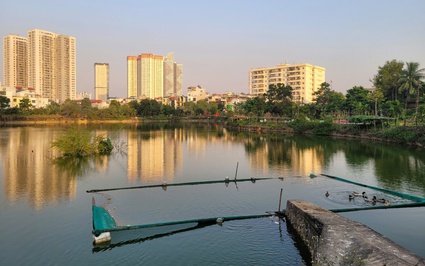 Hà Nội: Hồ điều hòa chậm bàn giao, người dân quây hồ nuôi vịt, lấy đất trồng rau