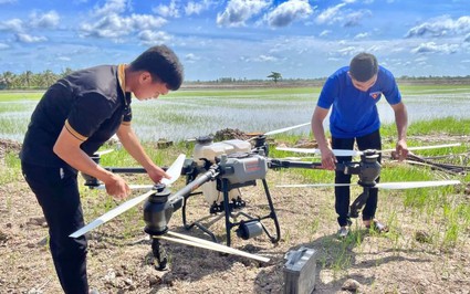 Điều khiển máy bay không người lái vèo vèo trên cánh đồng không dấu chân, dân nơi này ở Long An kiếm bộn tiền