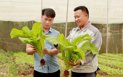 Phó Chủ tịch Hội Nông dân Lâm Đồng: Chương trình Tự hào Nông dân Việt Nam khơi dậy nhiều khát vọng