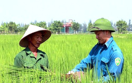 Tọa đàm thuế GTGT với mặt hàng phân bón: Người nông dân được hưởng lợi khi giá thành vật tư giảm