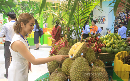 Doanh nghiệp Trung Quốc tăng tìm mua thanh long, sầu riêng, tổ yến của Việt Nam