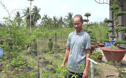 Loại cây cảnh thân "mọc" la liệt u cục hình mặt khỉ, nơi này ở Tiền Giang, hễ nhà nào trồng là giàu hẳn lên