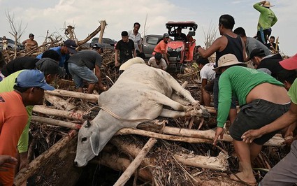 Sau khi bị bão Usagi tàn phá, Philippines chuẩn bị đón cơn cuồng phong mới