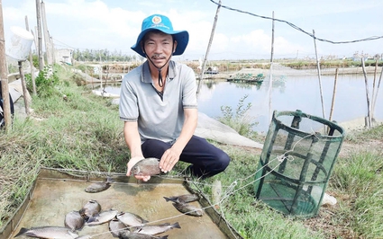 Cũng là nuôi cá, nuôi tôm, một ông tỷ phú nông dân ở TT-Huế nuôi kiểu gì mà doanh thu hàng chục tỷ/năm?