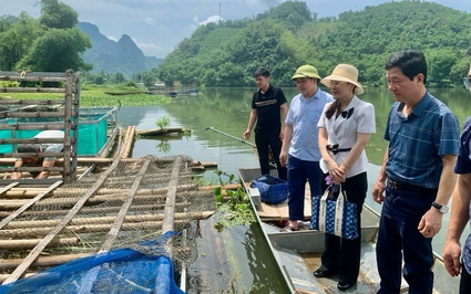 Đây là các mô hình nuôi con đặc sản của nông dân huyện Bá Thước được Hội Nông dân hỗ trợ, giúp sức