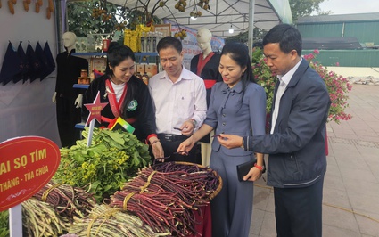 Tủa Chùa: Chuyển mình từ xây dựng chương trình nông thôn mới