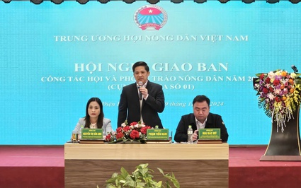 Phó Chủ tịch Hội NDVN Phạm Tiến Nam chủ trì hội nghị giao ban công tác Hội, phong trào ND, cụm thi đua số 1