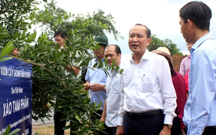 Phó Chủ tịch Thường trực Hội NDVN Phan Như Nguyện chủ trì hội nghị giao ban Cụm thi đua số 4