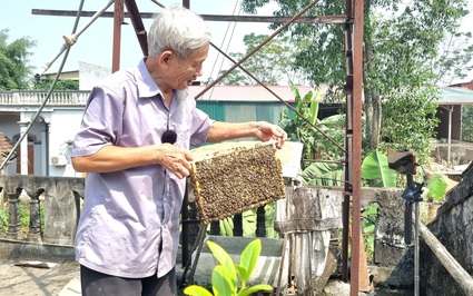 Video: Ông nông dân U80 ở Ninh Bình "bật mí bí kíp" chống rét cho ong mật, vượt gió lạnh mùa đông