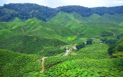 Ngỡ ngàng điểm đến tuyệt đẹp như trong phim kiếm hiệp chỉ cách Hà Nội hơn 1 giờ di chuyển