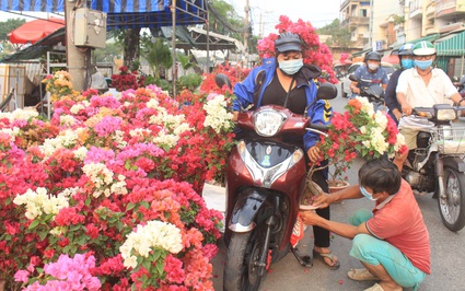 Chốt ngày tổ chức chợ hoa xuân bến Bình Đông, quận 8 tiết lộ năm nay sẽ rực rỡ hơn bao giờ hết