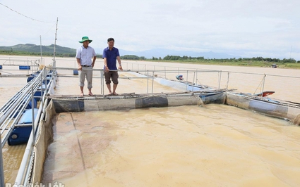 Có tới 622 hồ thủy lợi, 23 hồ thủy điện, vì sao Đắk Lắk khó nuôi thêm cá lồng bè, cá đặc sản?