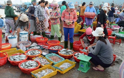 Bí ẩn về loài cá các nhà khoa học thế giới bối rối 1 thế kỷ cuối cùng được giải đáp ở chợ Việt Nam