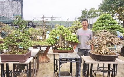 Vườn trồng cây cảnh toàn chậu bonsai độc lạ, một nông dân Đà Nẵng vừa làm vừa chơi lại rủng rỉnh tiền