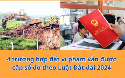 4 trường hợp đất vi phạm được xem xét cấp sổ đỏ theo Luật Đất đai 2024