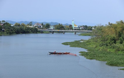 Con sông Bà Rén ở Quảng Nam, tách từ sông Thu Bồn "rong chơi chán chê mê mải" lại quay về sông Thu Bồn