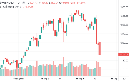 VN-Index lại “thủng” 1.200 bốc hơi 83 điểm trong 3 phiên, đã đến lúc mua vào?