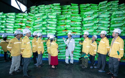 DCM đồng hành cùng nông dân trong chuỗi chương trình "Tham quan nhà máy - Gặt hái mùa vàng" 