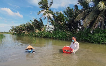 Nuôi con vật hiền khô như cục đất, chả phải cho ăn bao giờ, ông nông dân Cà Mau mò lên bán kiếm lời