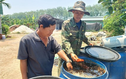 Mặc kệ xóm làng chê, anh nông dân ở Kon Tum quyết trồng cây cho "ăn kham khổ", ai ngờ lại mê