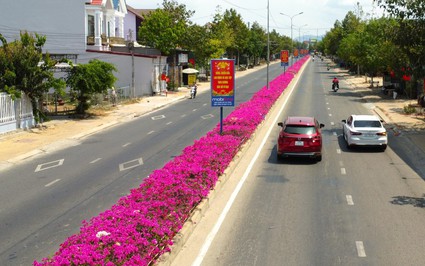 Đường hoa giấy đẹp như phim ở một huyện của Ninh Thuận, dân tình tha hồ chụp hình khoe "phây"