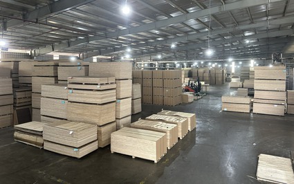 Đang bán hàng trăm triệu USD loại gỗ ván ép sang Hàn Quốc, 152 doanh nghiệp lo phải đóng cửa vì mức thuế quá cao