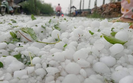 Mưa đá chưa từng có ở Mai Châu của Hòa Bình, đồng bắp cải nát bét, dân nói chỉ 2 từ "khủng khiếp"